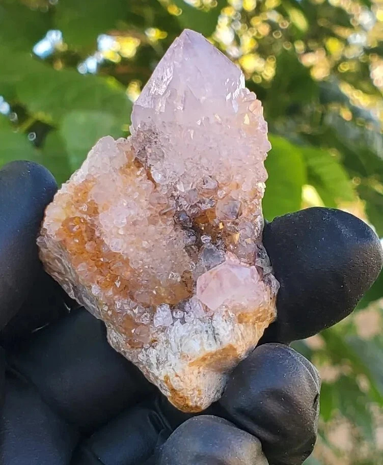 Amethyst Spirit Quartz Crystal Cactus Specimen 72g – South Africa