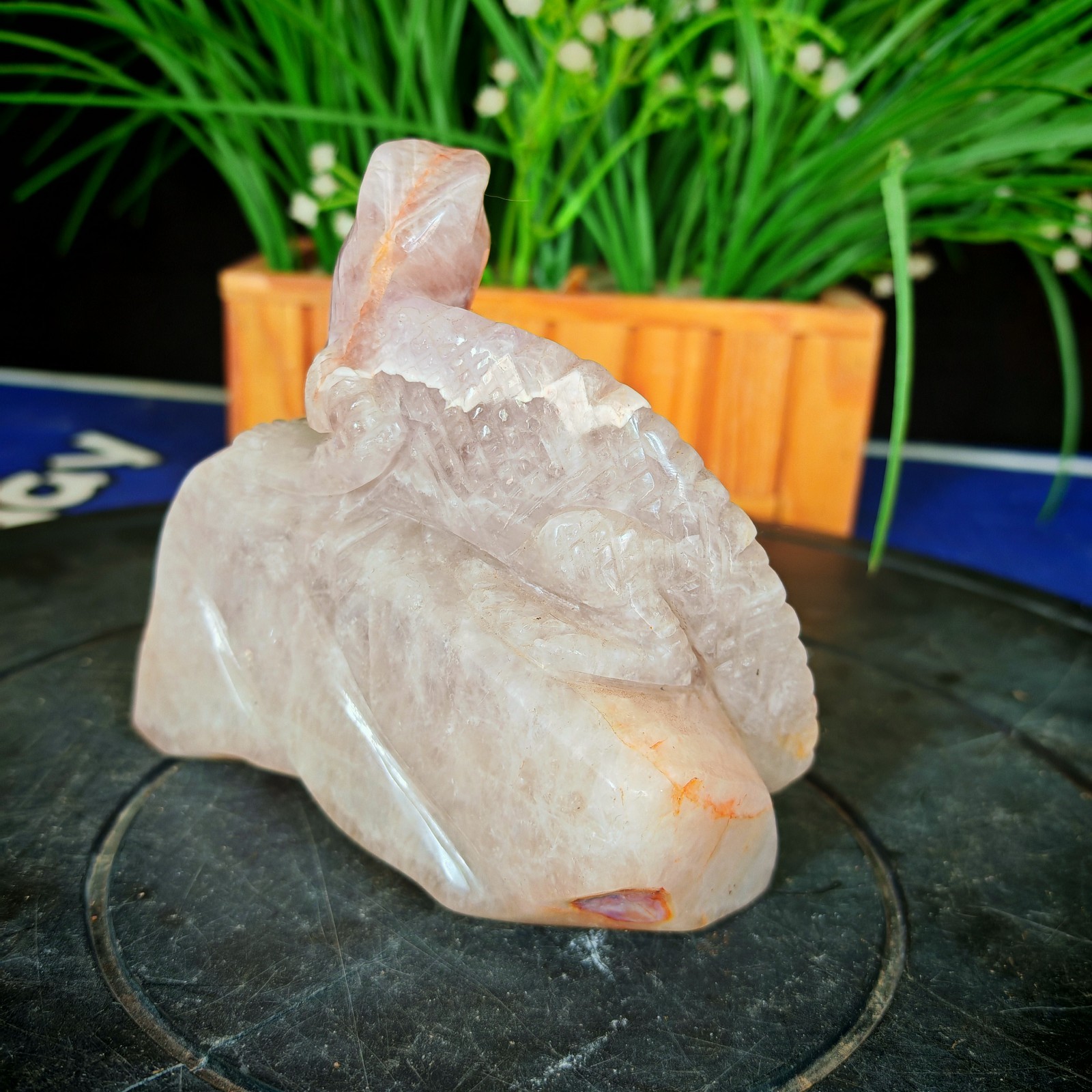 2.31LB Natural Crystal Purple Agate Carved Lizard Reptile & Crystal Lovers