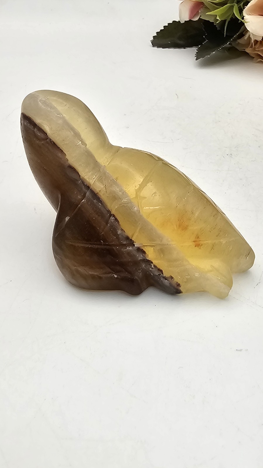 Rainbow yellow Fluorite crystal turtle tortoise Carving 133g 7.1cm