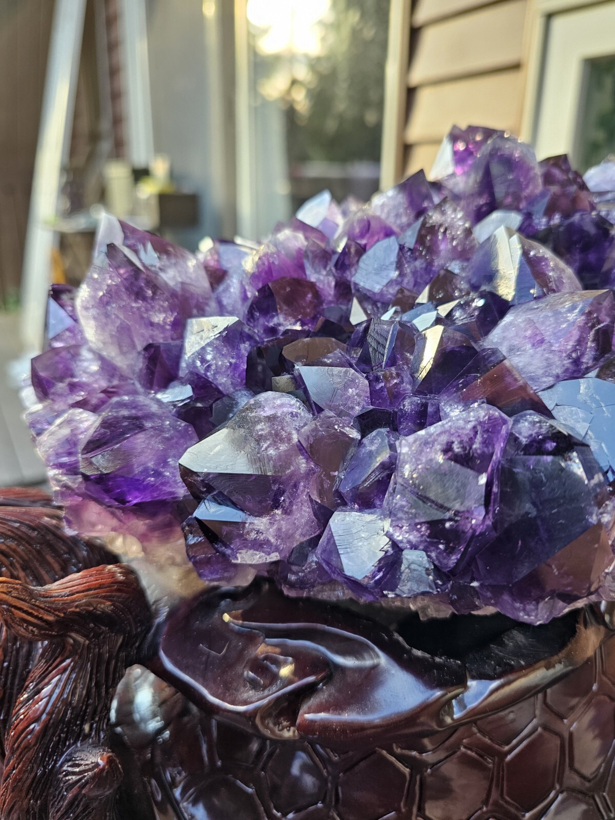 Rare Feng Shui Dragon Turtle with Large Amethyst Cluster