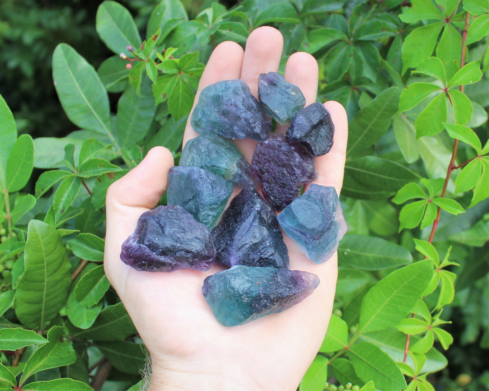 2 lb Bulk Lot Natural Rough Fluorite (Crystal Healing Raw Rock Mineral)