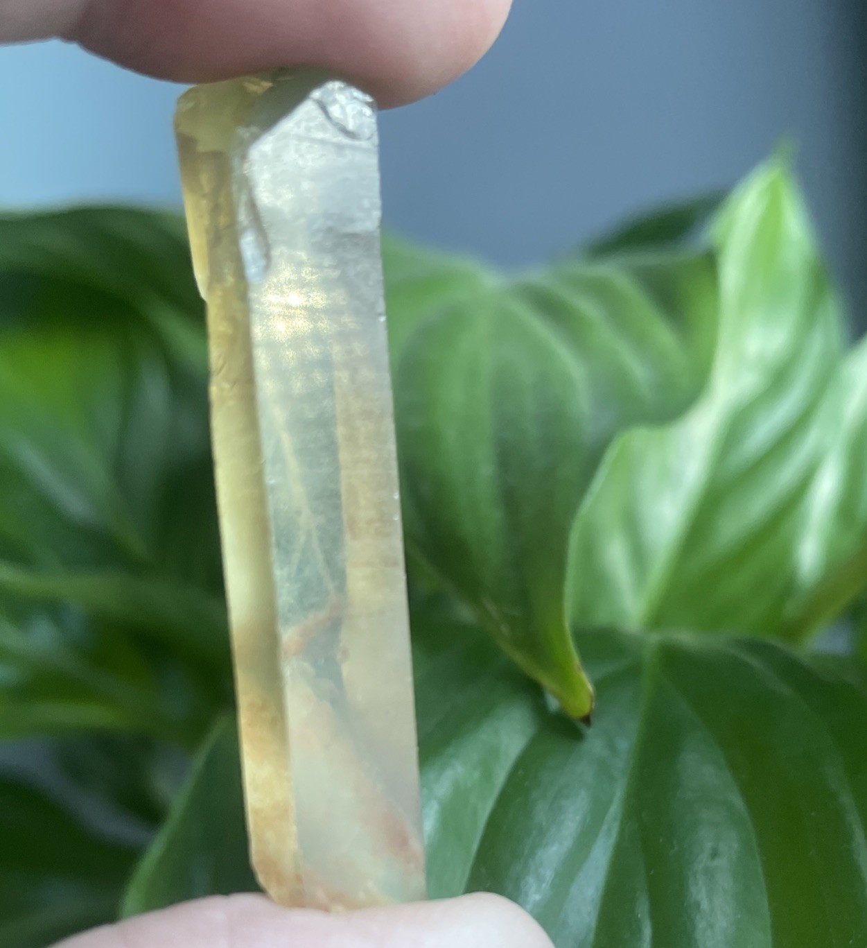 Beautiful Zambian Citrine Natural Untreated 10gm 50.3mm (C18)