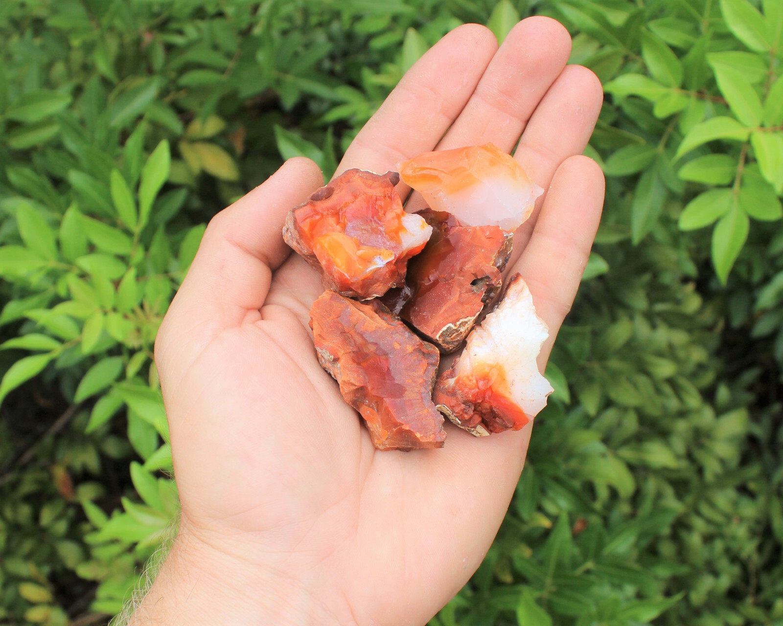 5 Pack Large Rough Natural Carnelian (Raw Stone Crystal Agate, MADAGASCAR)