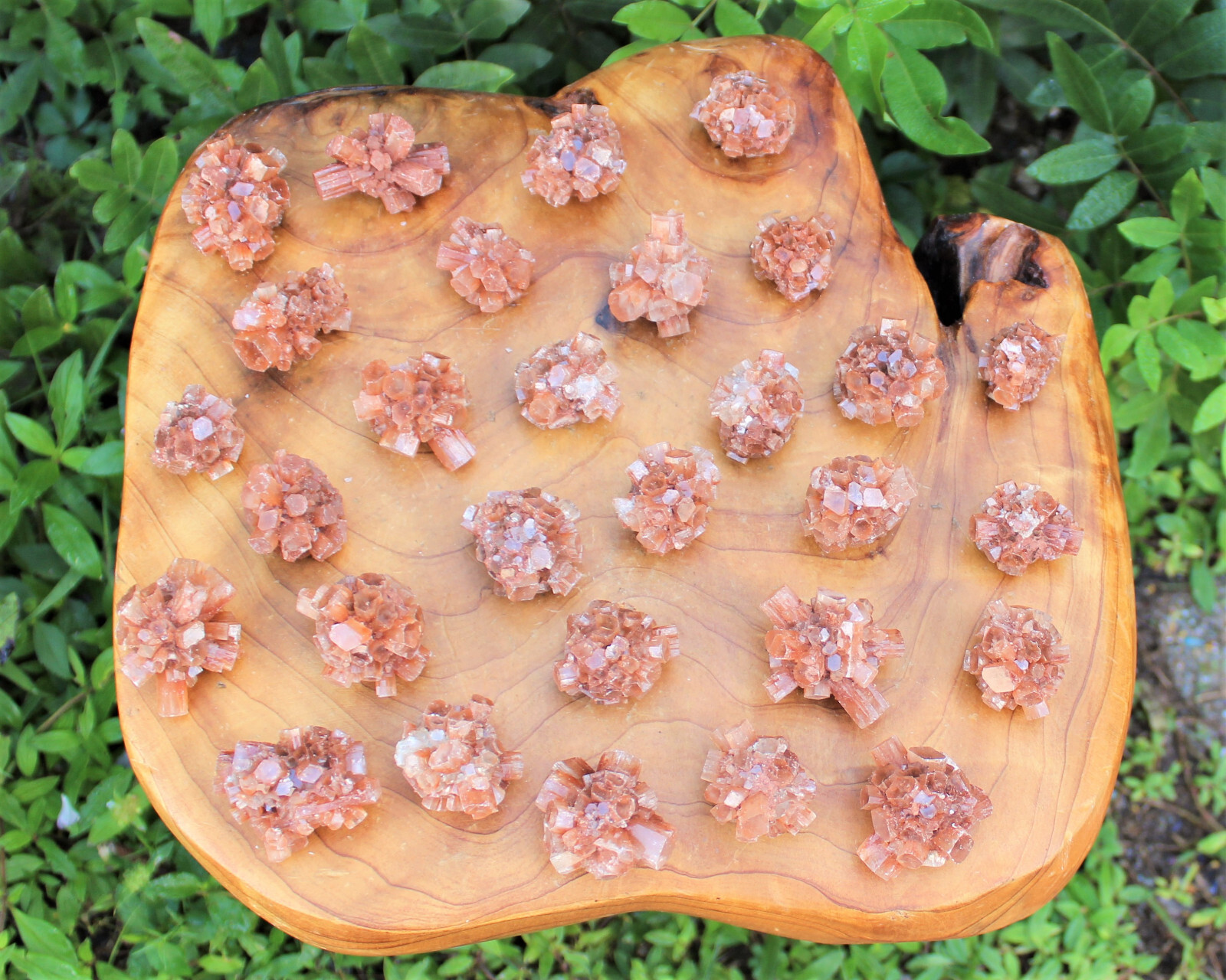 Mini Aragonite Cluster Box: 6 – 8 Pieces (Natural Aragonite Star Cluster)