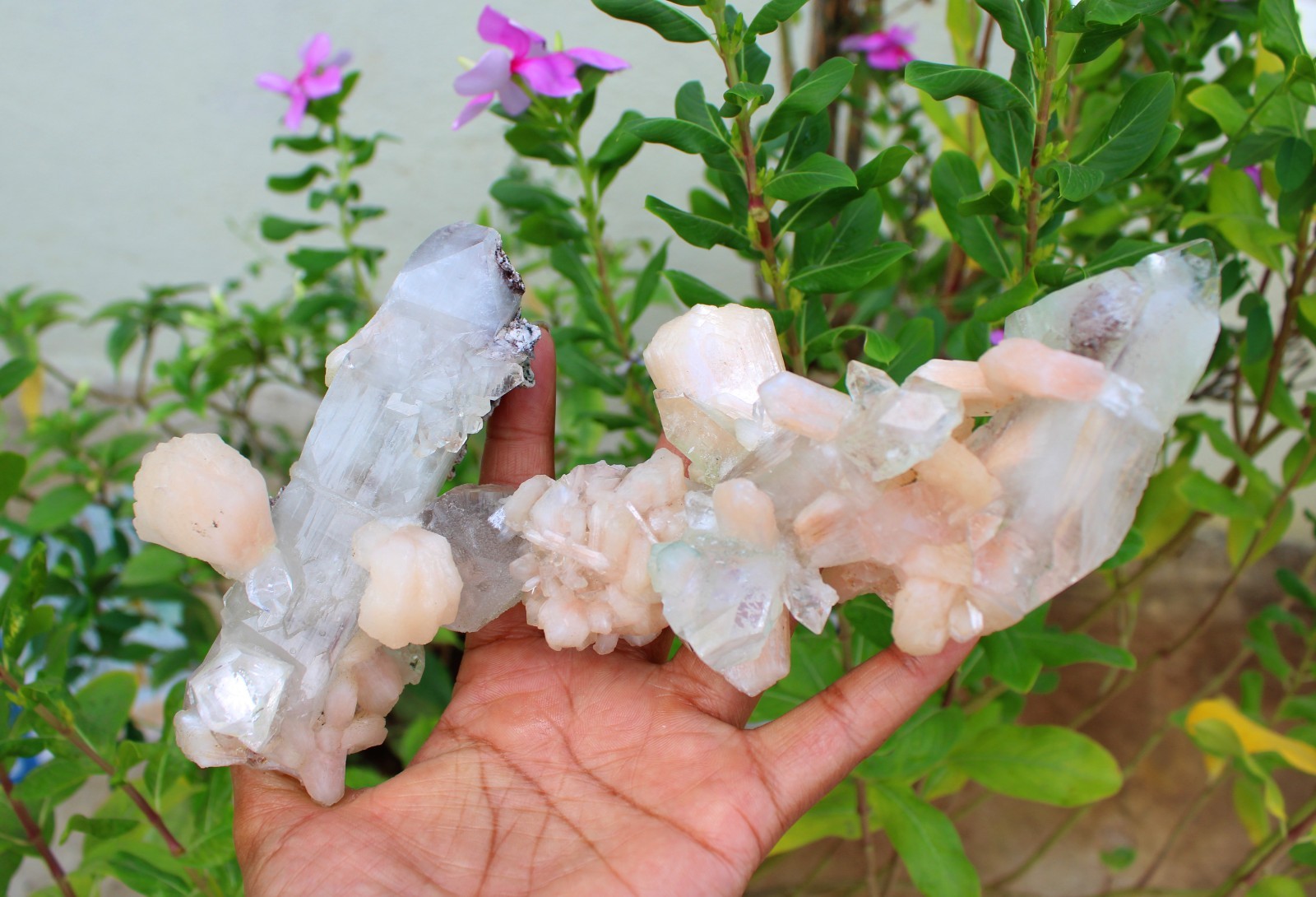 Apophyllite Crystals w/ Stilbite Formation Minerals Specimen ( 21×10 ) REPAIR