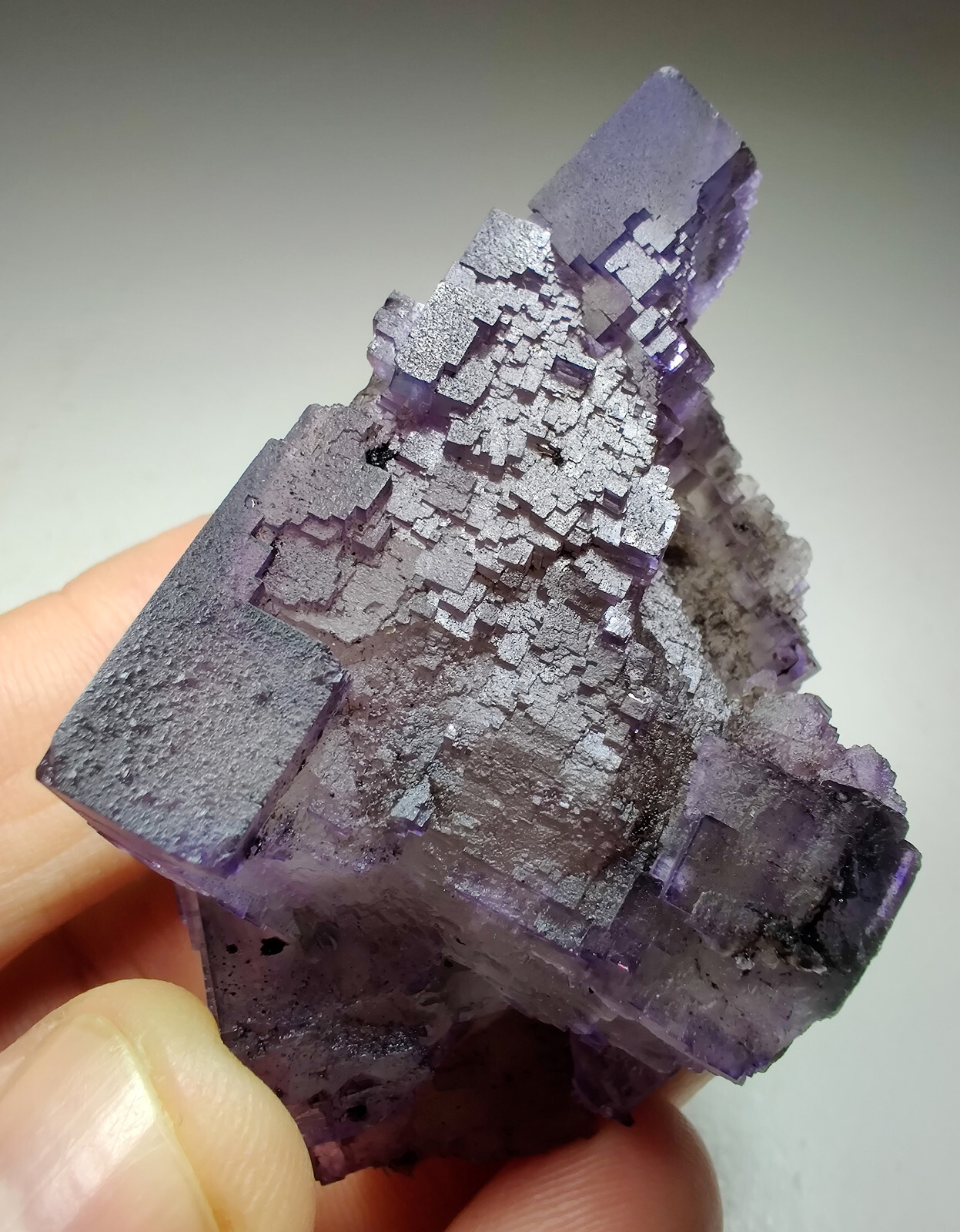 Fluorite crystals with Bitumen. Cave-in-Rock, Illinois. 98 grams.
