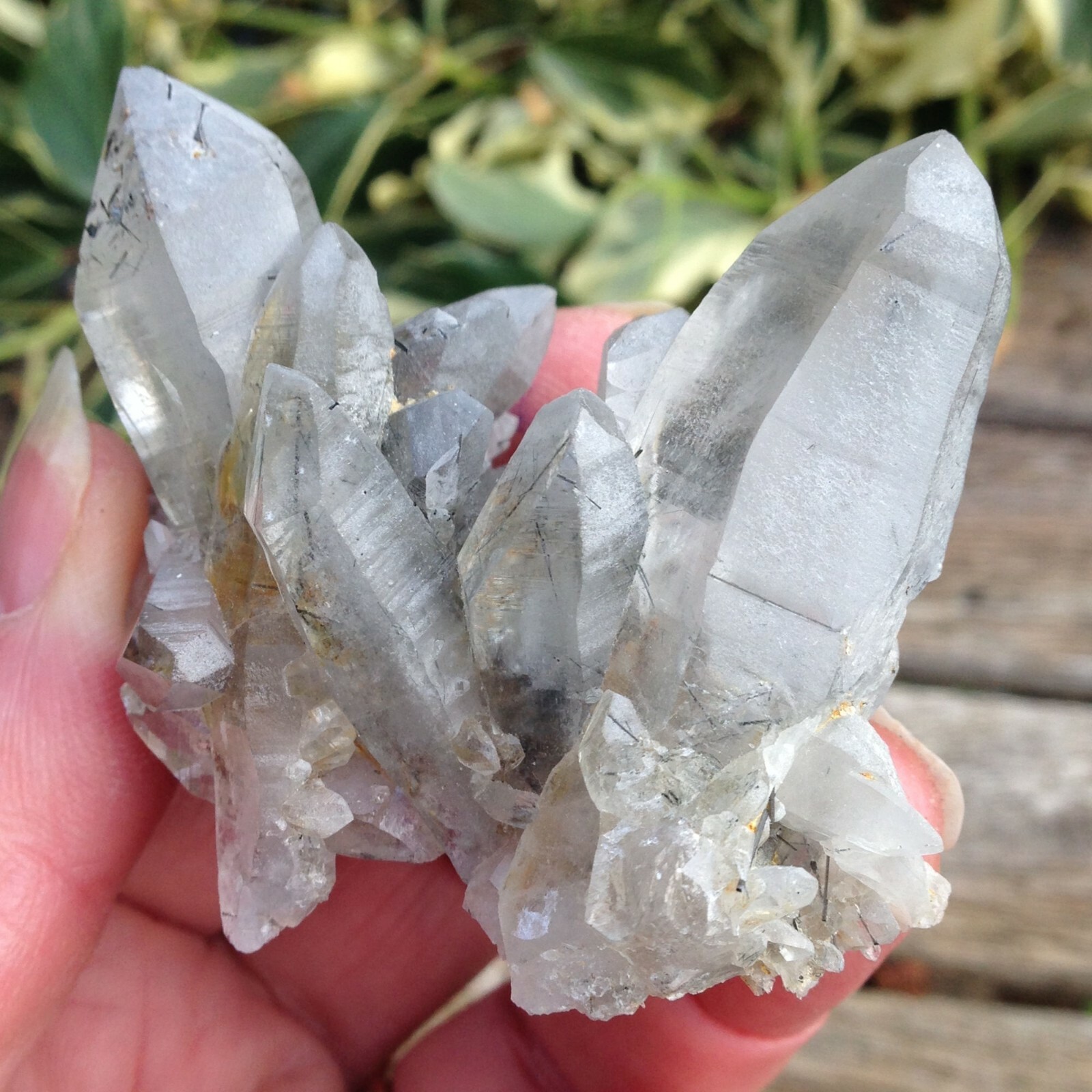 Quartz with Chlorite Crystal Cluster Connect to Nature Animals 66g 6×4.4×4.9cm