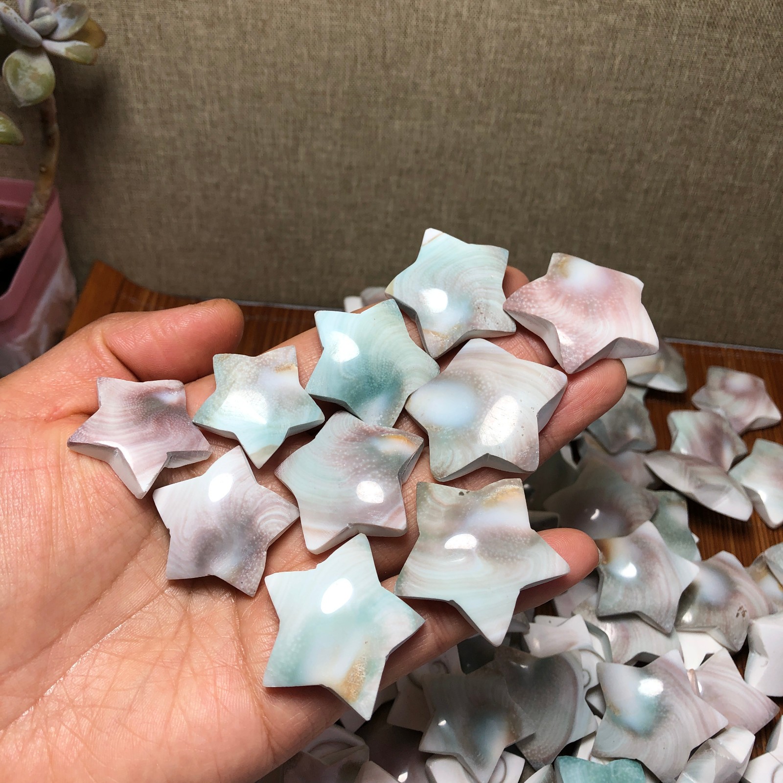 1000g Rare sun shell Reiki Shiva Eye ocean semi-precious stone 100-120pcs A3311