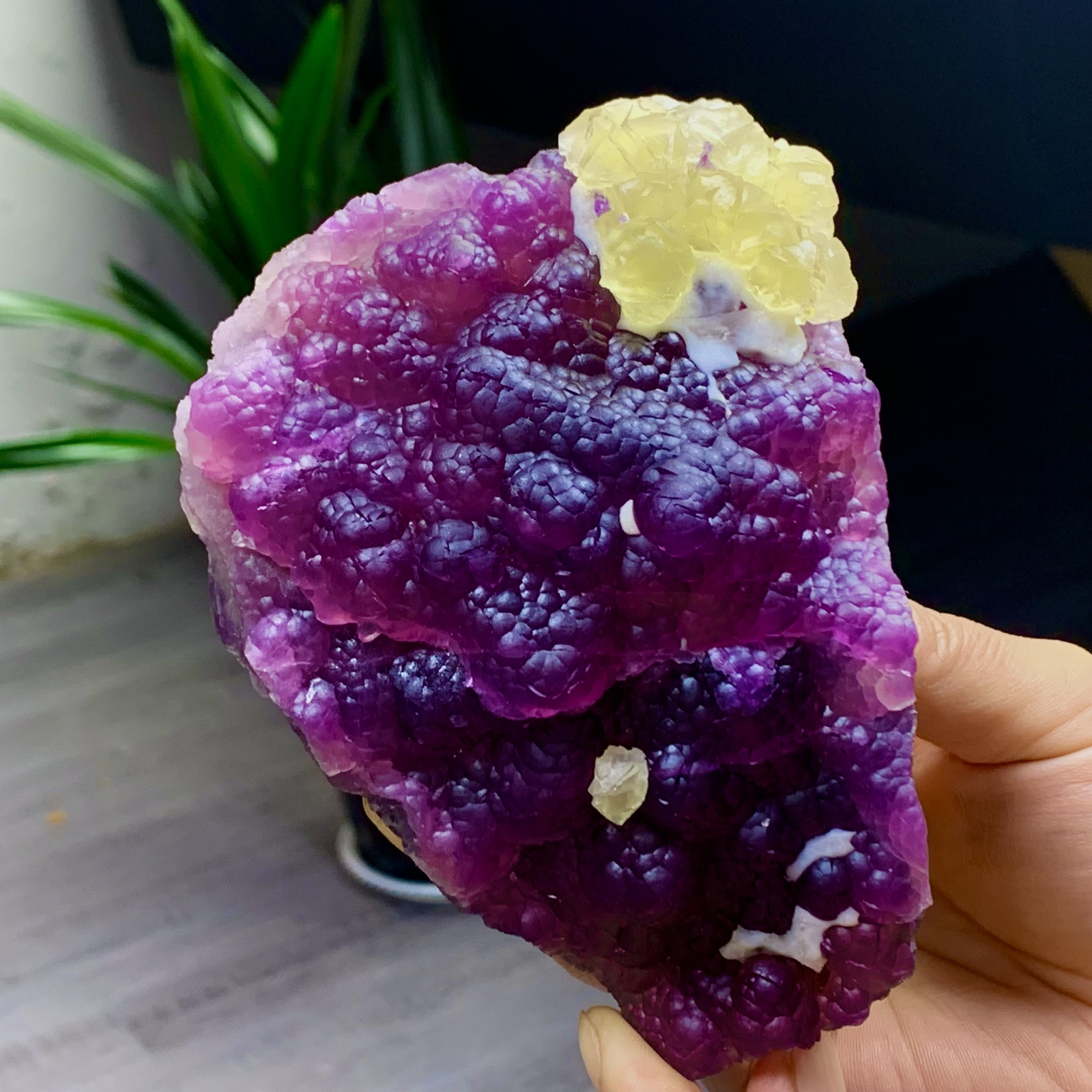 2.40LB Complete rare and gorgeous purple fluorite from Inner Mongolia, China