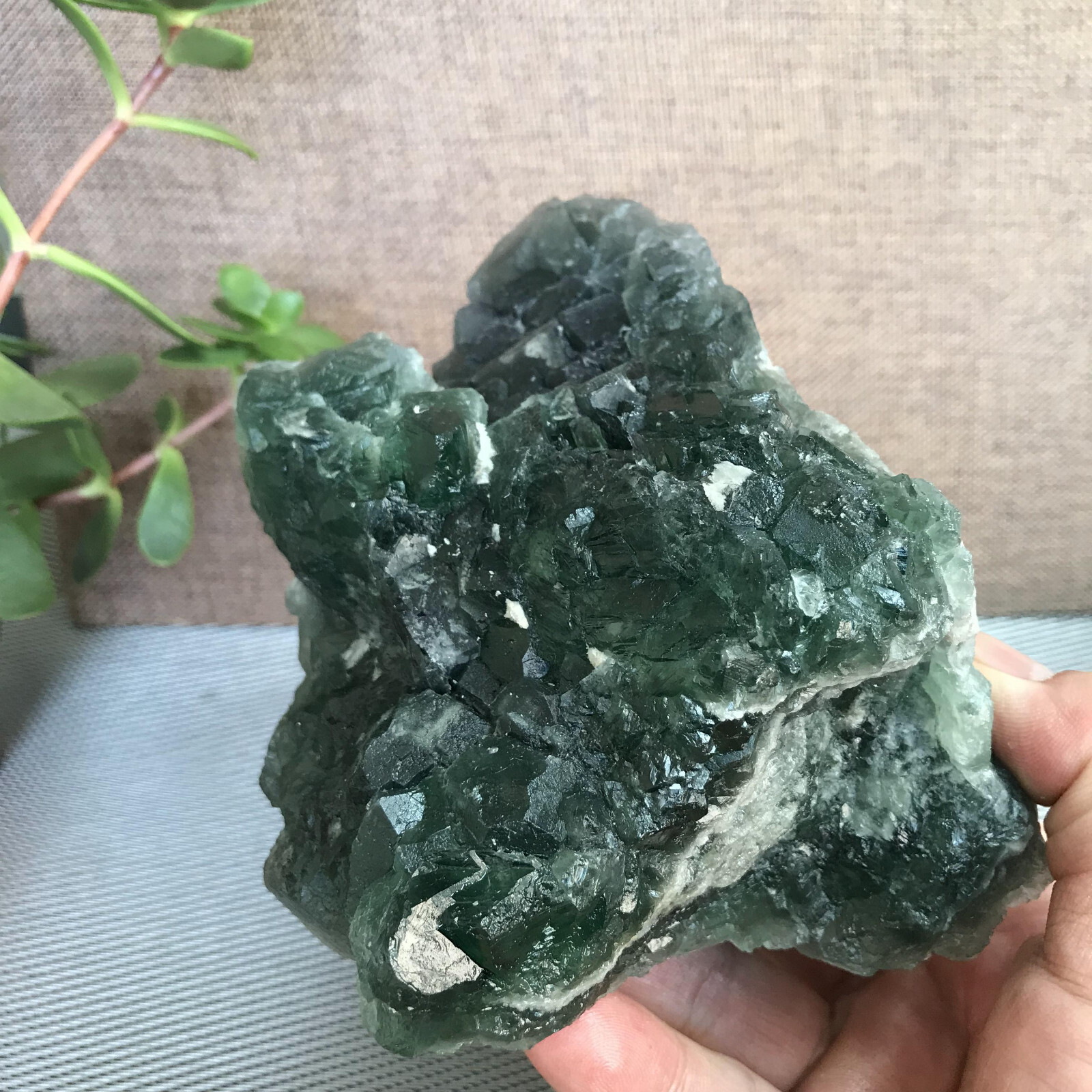 143mm NATURAL Green Cubic FLUORITE Crystal Cluster Mineral Specimen 1.58kg A1279