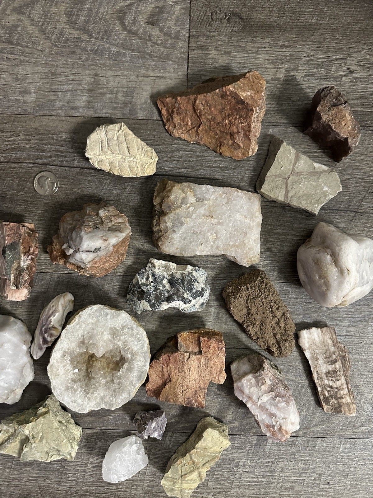 Small Lot Of Large-Medium Sized Mixed Variety Of Rocks And Minerals!