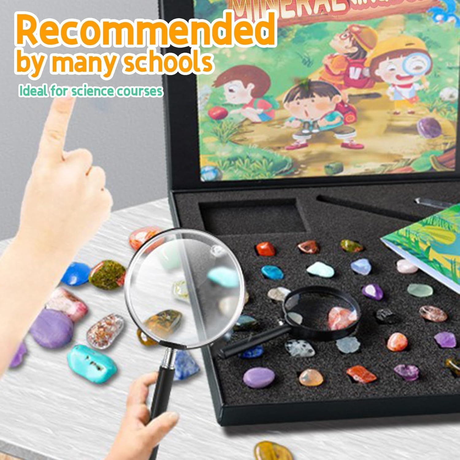 43 Pieces Rock Kit for Geology Enthusiasts | Rock Collection with Mineral Testin