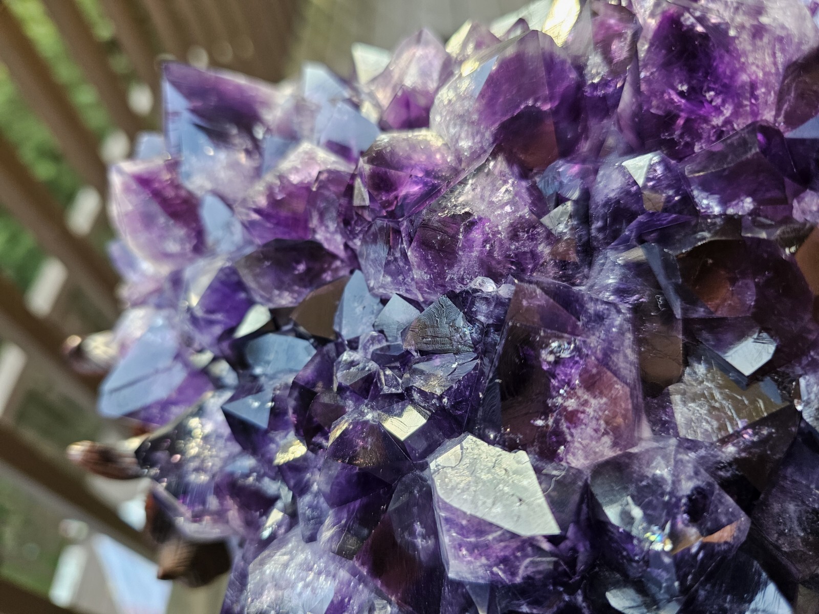 Rare Feng Shui Dragon Turtle with Large Amethyst Cluster