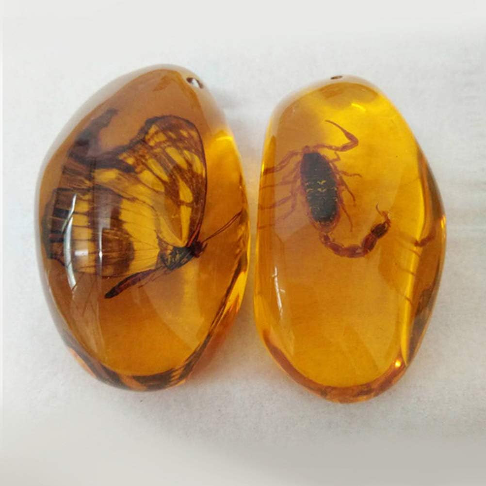 5Pcs Amber Fossil with Insects Samples Stones Crystal Specimens Home Decorations