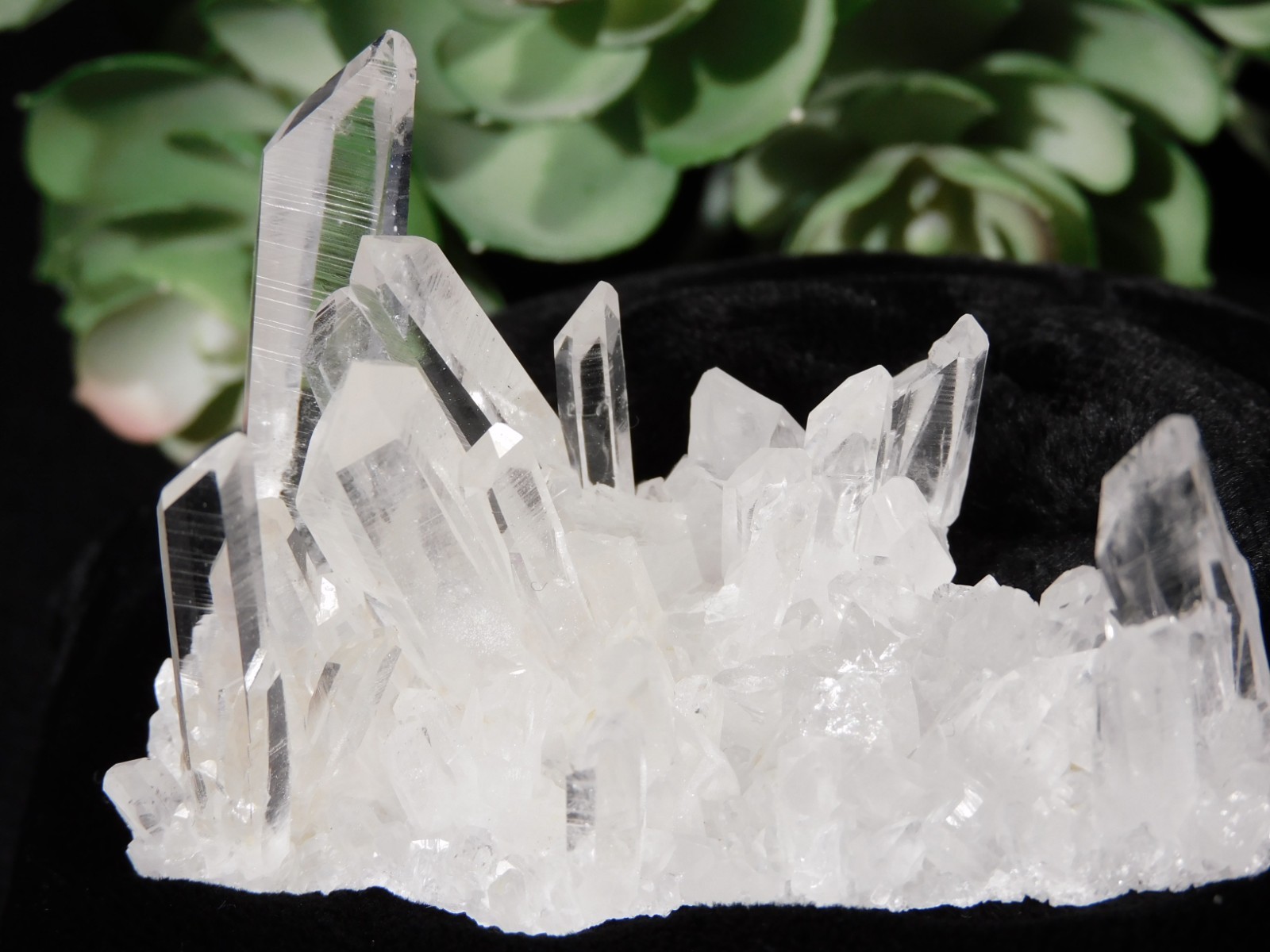 Super TRANSLUCENT Quartz Crystal BURR Cluster Collier Creek ARKANSAS 48.5gr