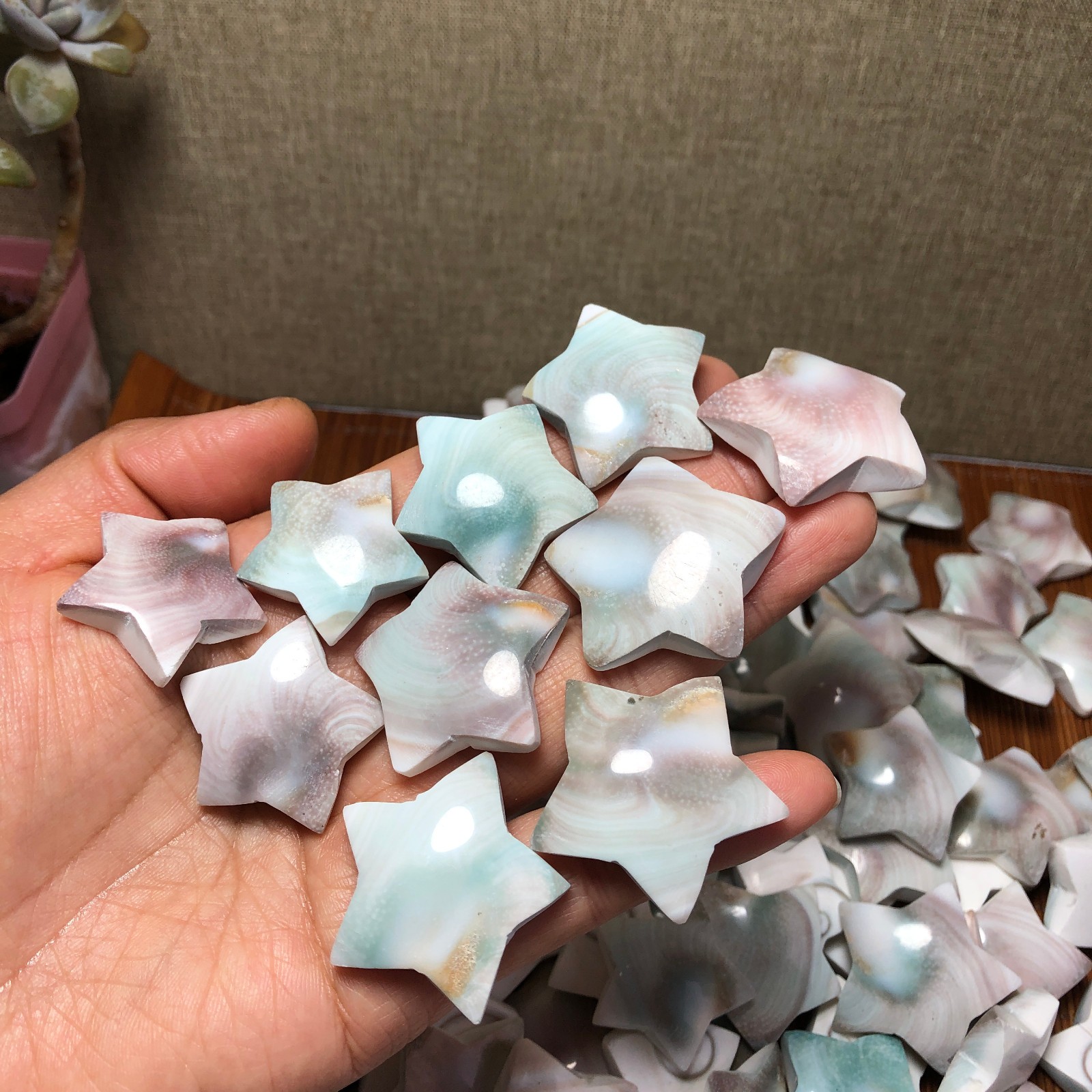 1000g Rare sun shell Reiki Shiva Eye ocean semi-precious stone 100-120pcs A3311