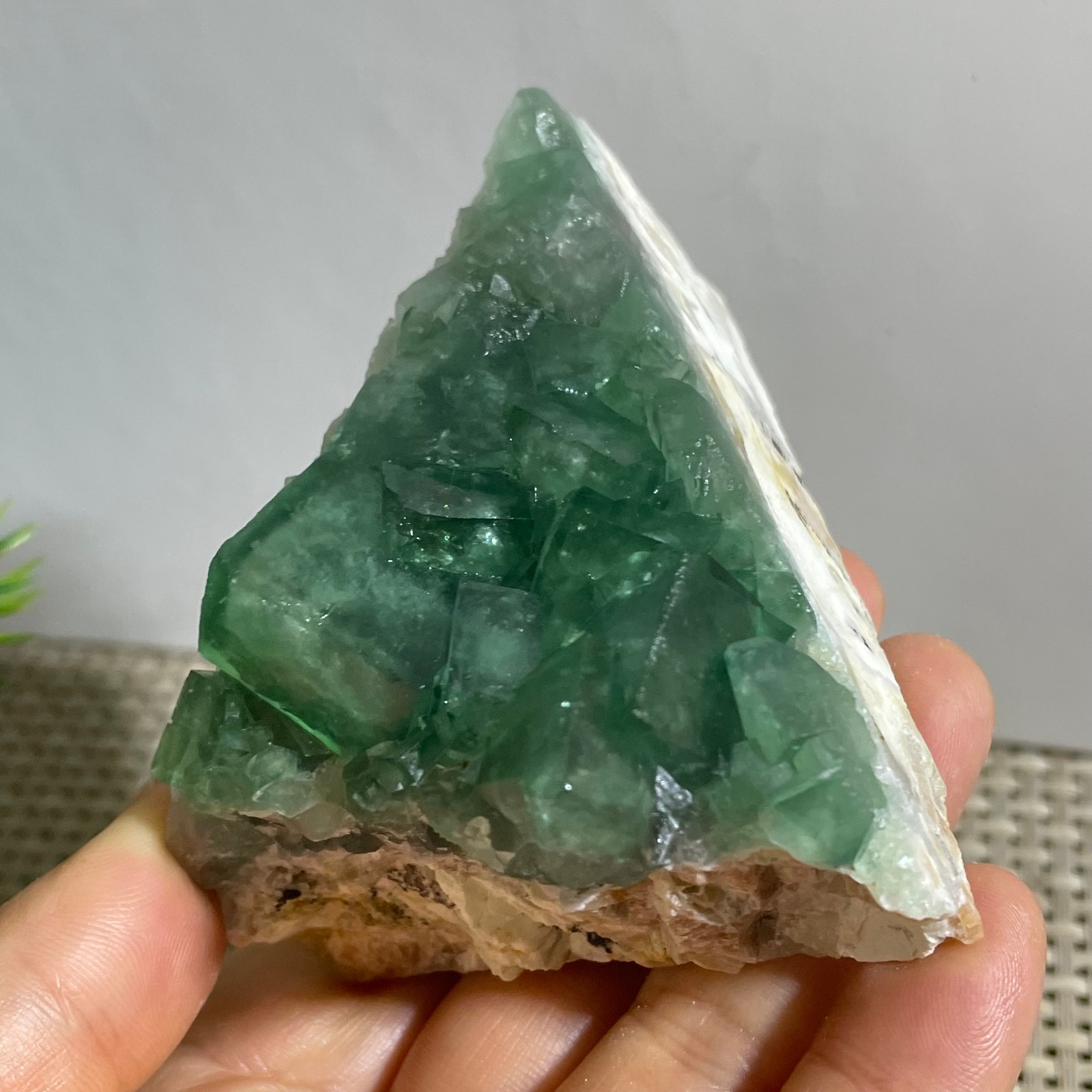 235g NATURAL Green FLUORITE Quartz Crystal Cluster Mineral Specimen
