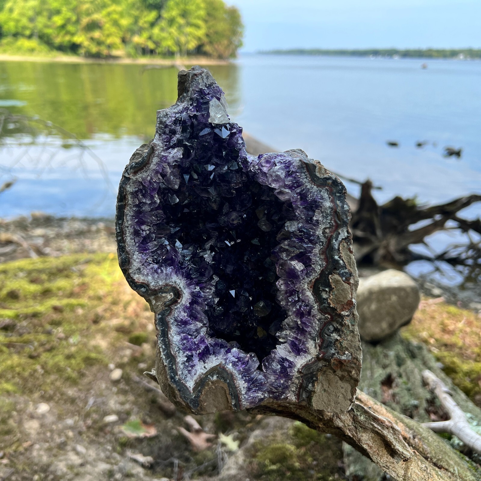 HUGE XXXL LARGE Amethyst Druze Crystal Cluster With Cut Base Specimen ~ 4-6 Lbs