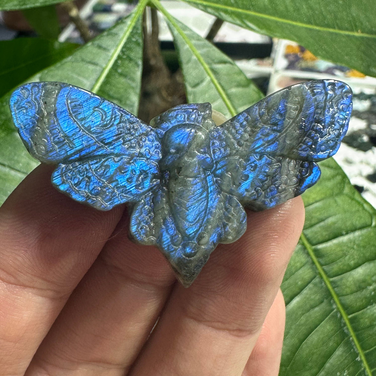 Natural Labradorite Ghost face Moth Specimen Quartz Skull Crystal Reiki Healing