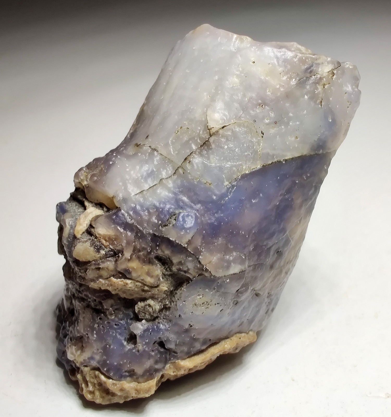 Petrified Wood, Fluorescent. Eden Valley, Wyoming. 20 grams.