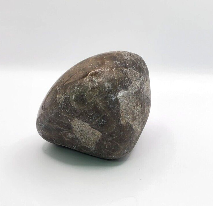 Natural Michigan Petoskey Stone with Polished Side 2-1/2×2-1/4×1-1/2 inches 161g