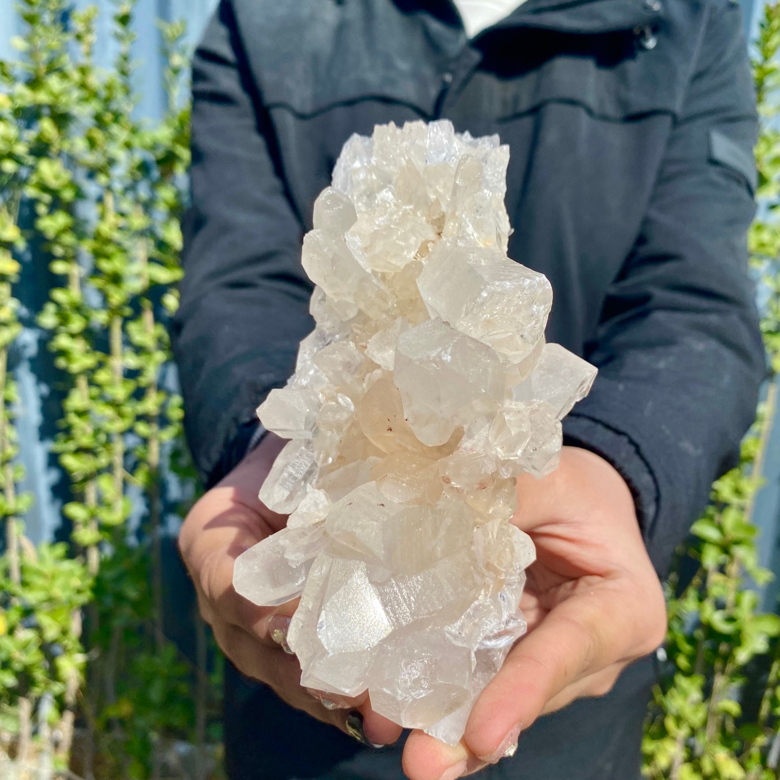 1.21LB Large Natural Clear White Crystal Quartz Cluster Energy Healing Specimen