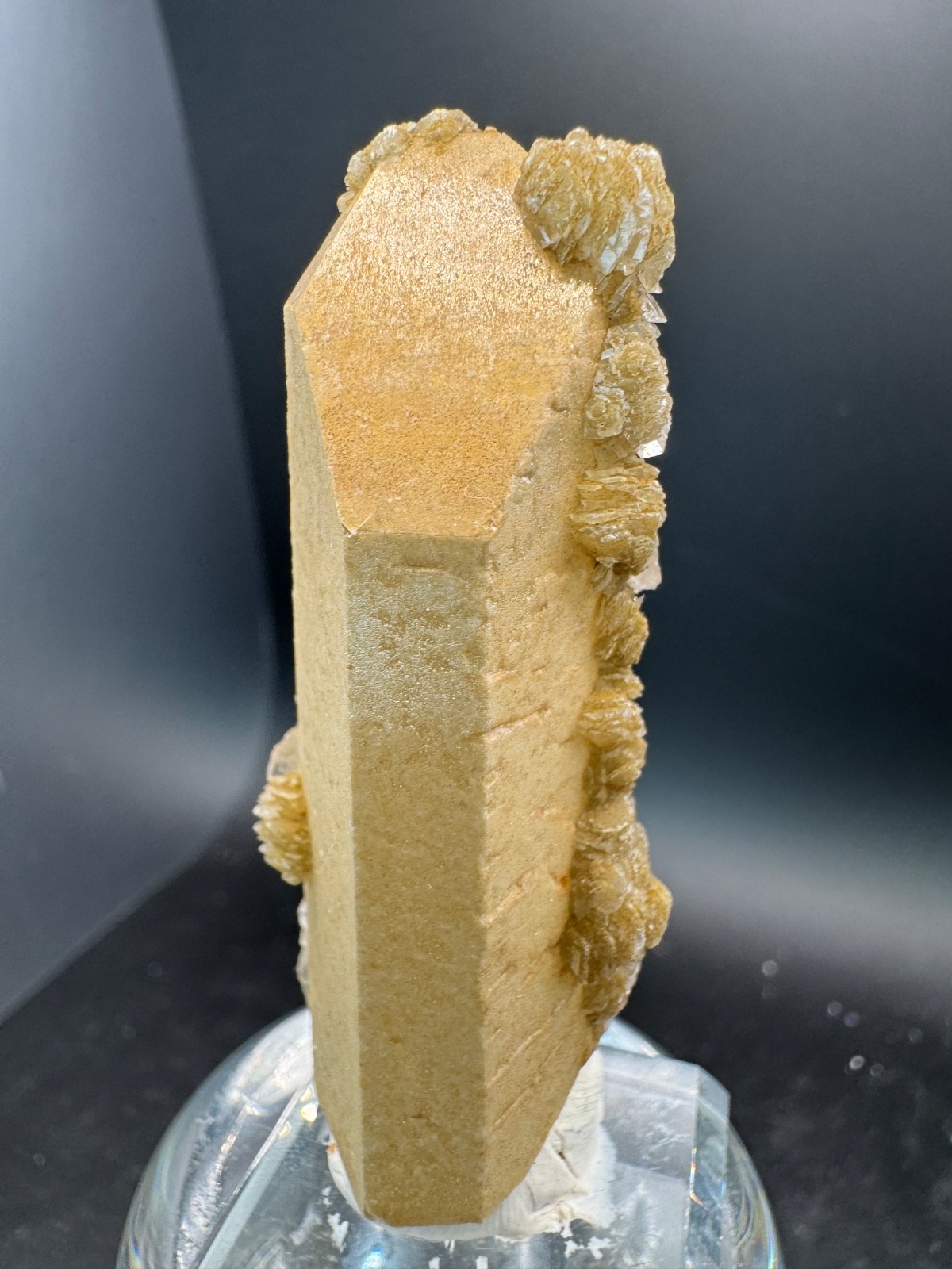 6525 Yellow Candle Quartz Point with Petal Calcite Inner Mongolia 40g