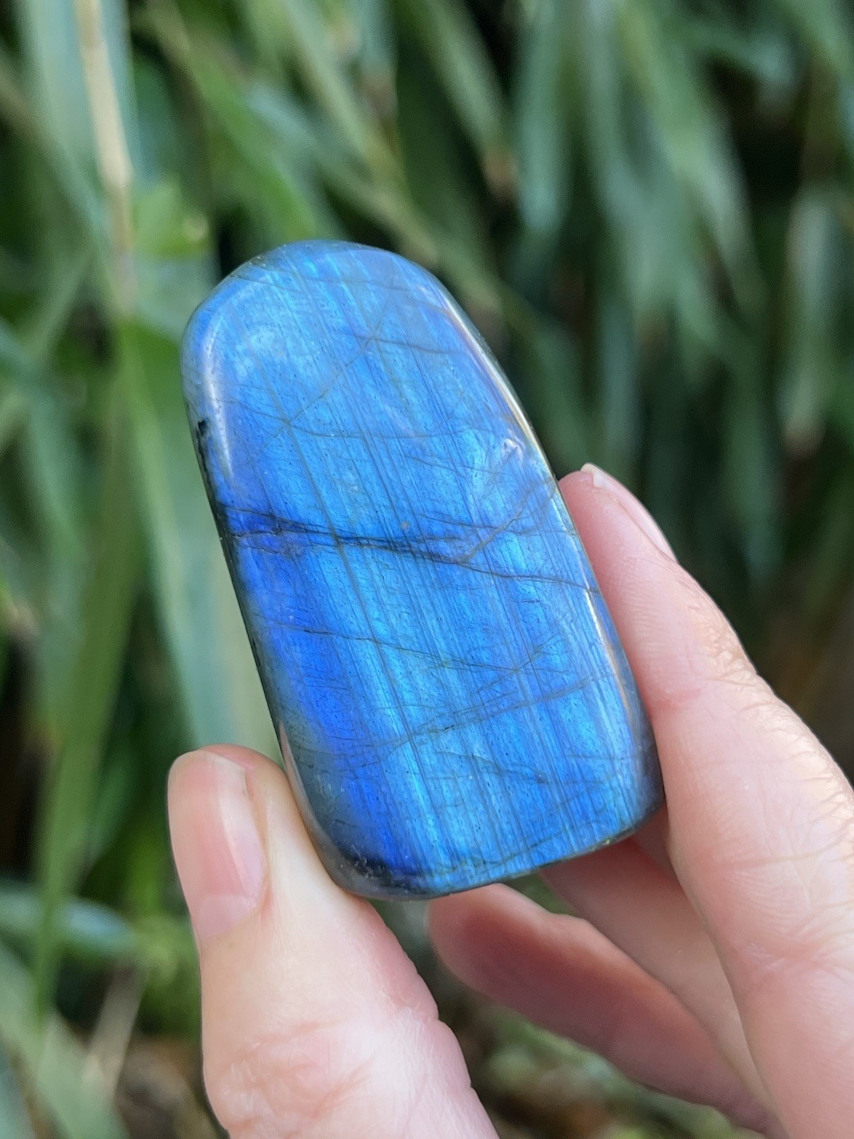 Deep Blue Labradorite Freeform Iridescent Crystal AAA+ 14