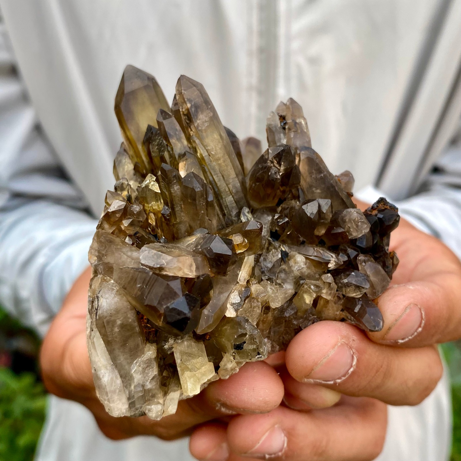 220G Natural Black Smoky Quartz Crystal Cluster Raw Mineral Specimen