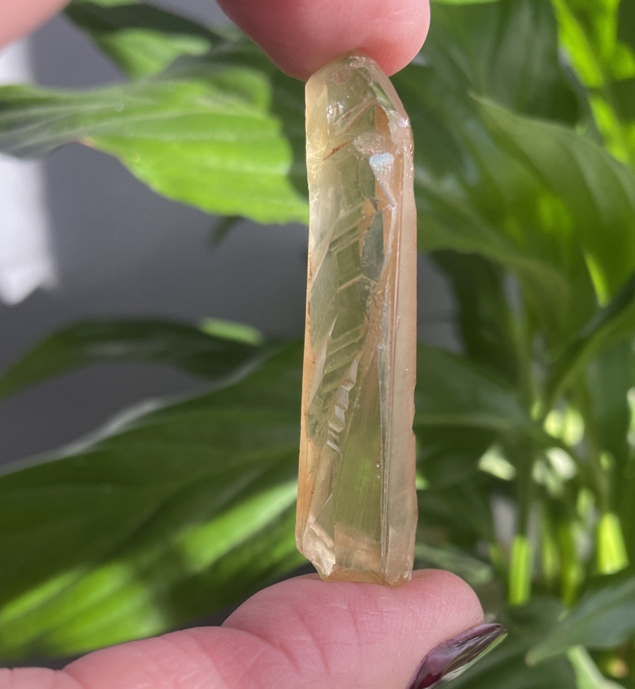 Beautiful Zambian Citrine Natural Untreated Approx 12gm 56mm (C15)