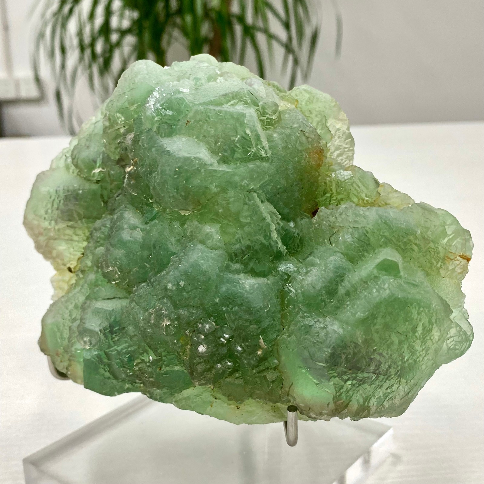 3.64LB Natural transparent green cubic fluorite mineral crystal sample/China