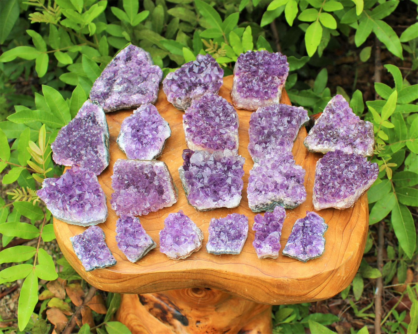 Amethyst Geode Druzy Crystal Quartz Cluster Natural Specimen: You Choose Size!