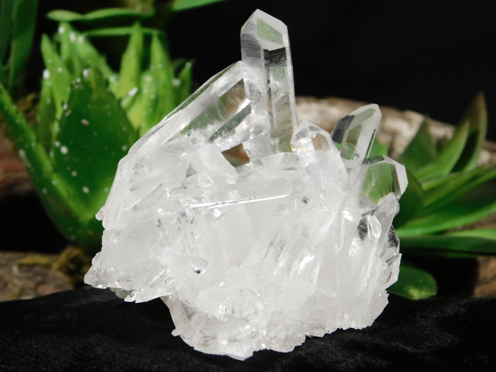 TRANSLUCENT Quartz Crystal Cluster From Collier Creek ARKANSAS 107gr
