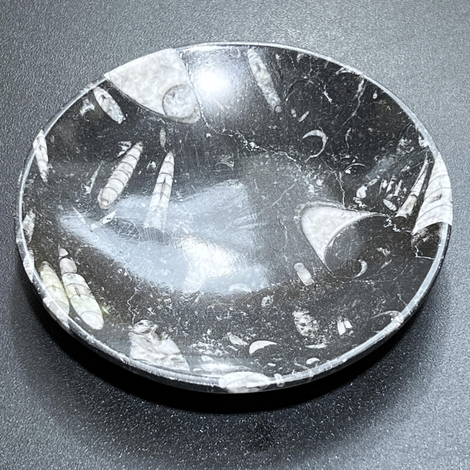 Orthoceras Fossil Stone Bowl Dish Carving (6 Inches) Natural Moroccan Mineral