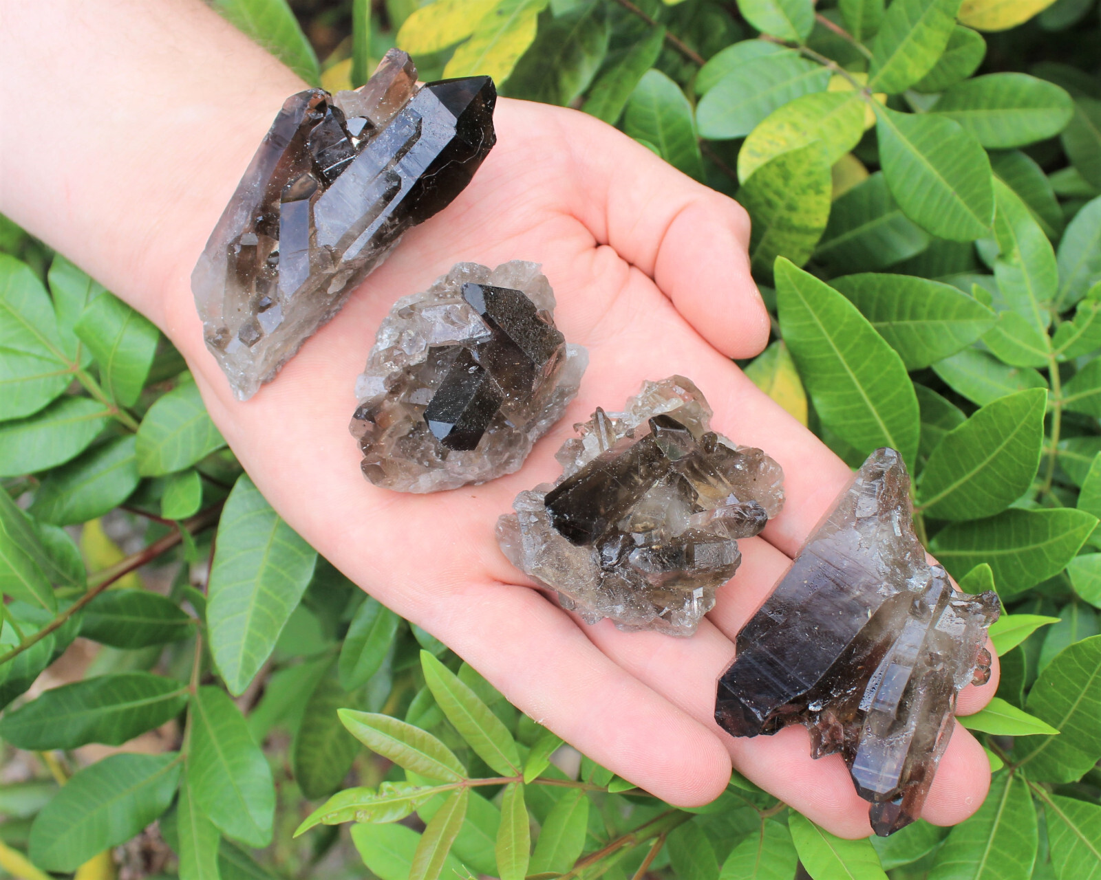 Smoky Quartz Crystal Clusters: 6-9 Piece Wholesale Bulk Box Lot (Smokey Quartz)