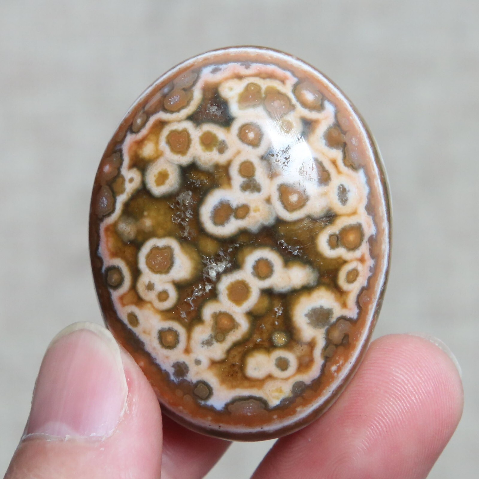 B7712-56g Amazing Natural Polished OCEAN JASPER Furnishing Freeform Healing