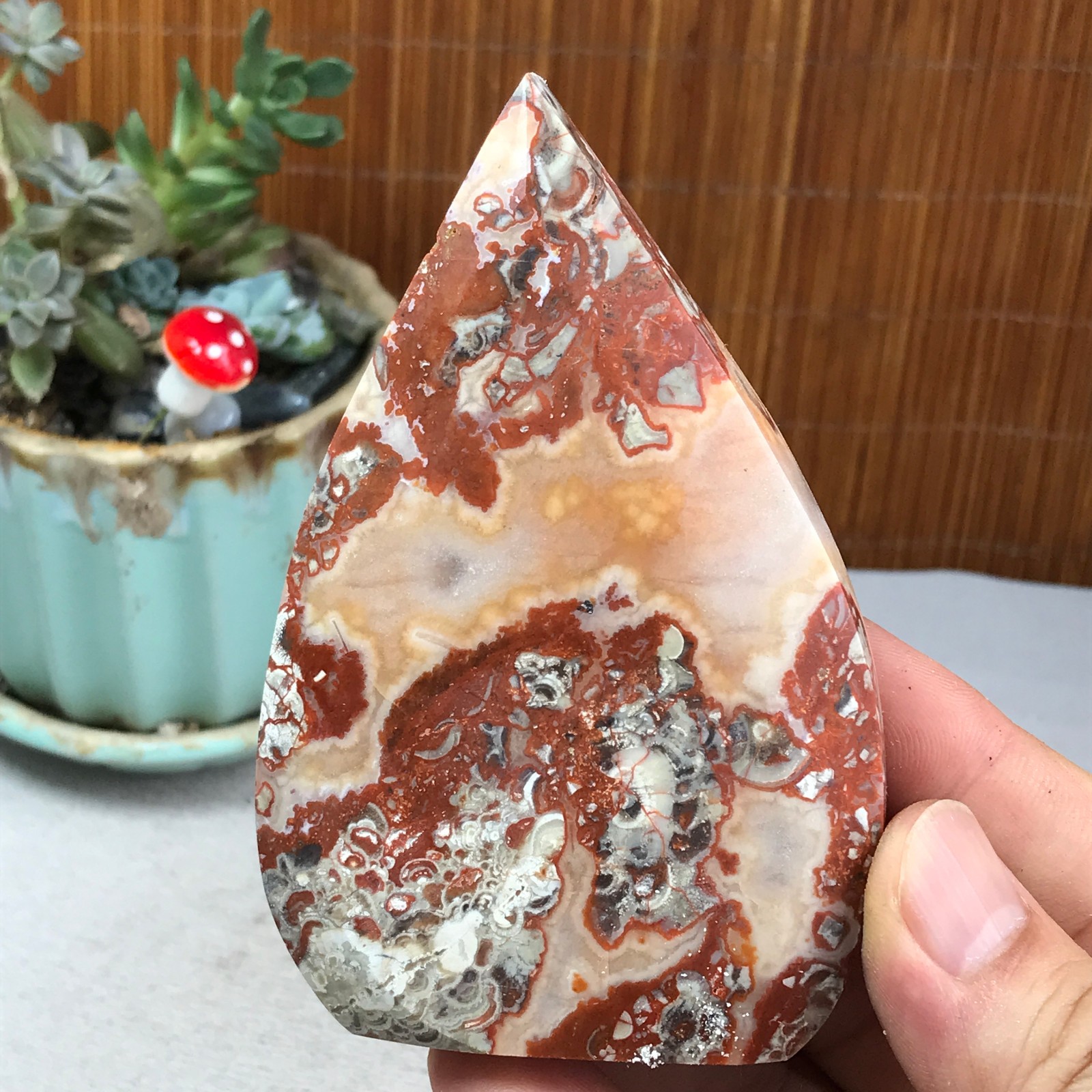 Natural money Mexico agate hand carve leaf Crystal Specimen free standing A6263