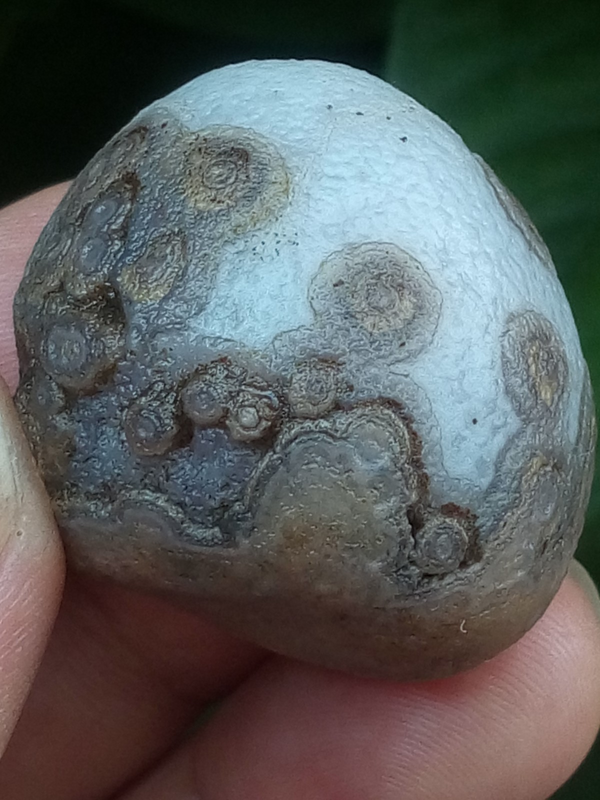 32mm Beautiful Natural agate Gobi agate eye agate stone collection