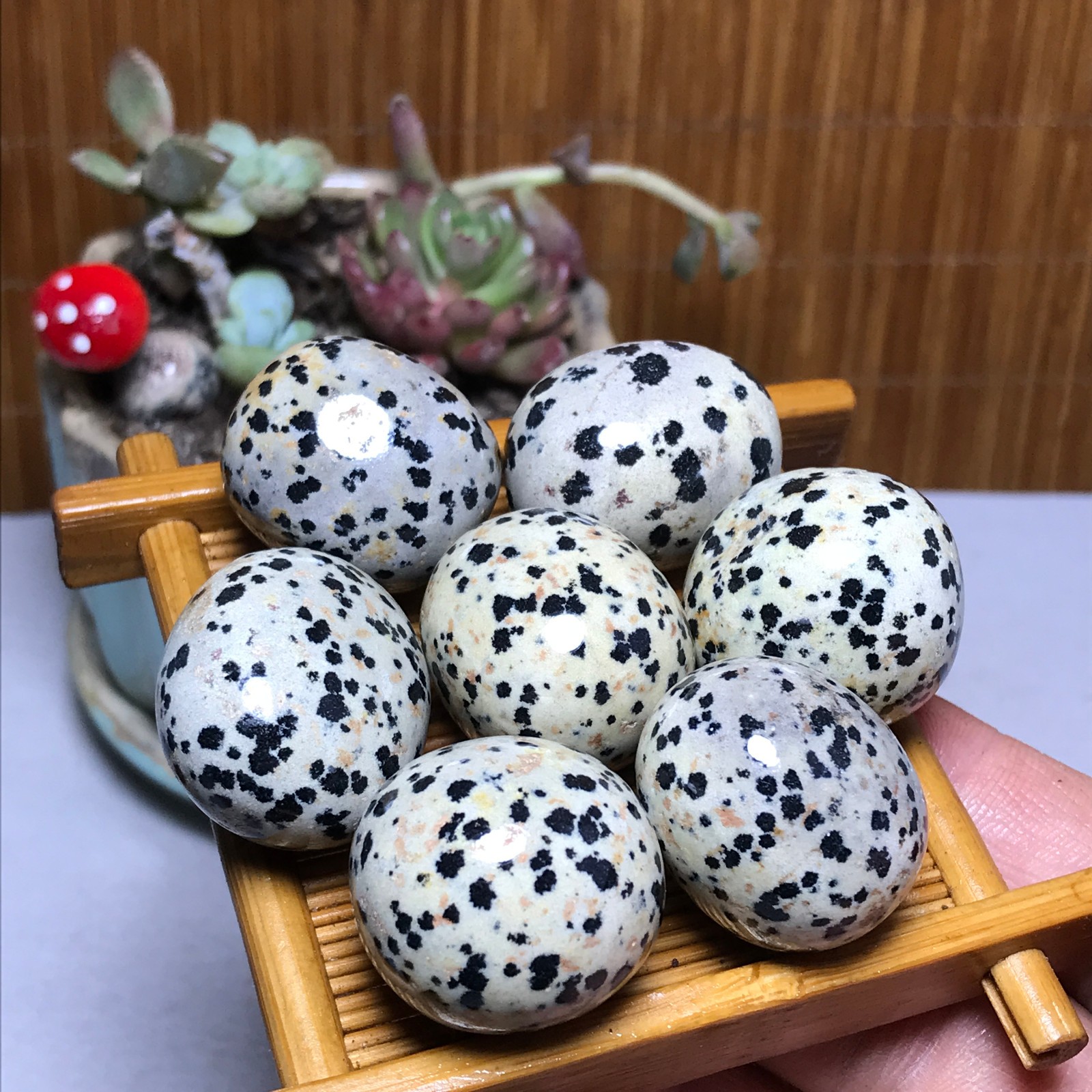 25-22-22mm 7Pcs Natural spotted stone Crystal gemstone Mineral Specimen A4408