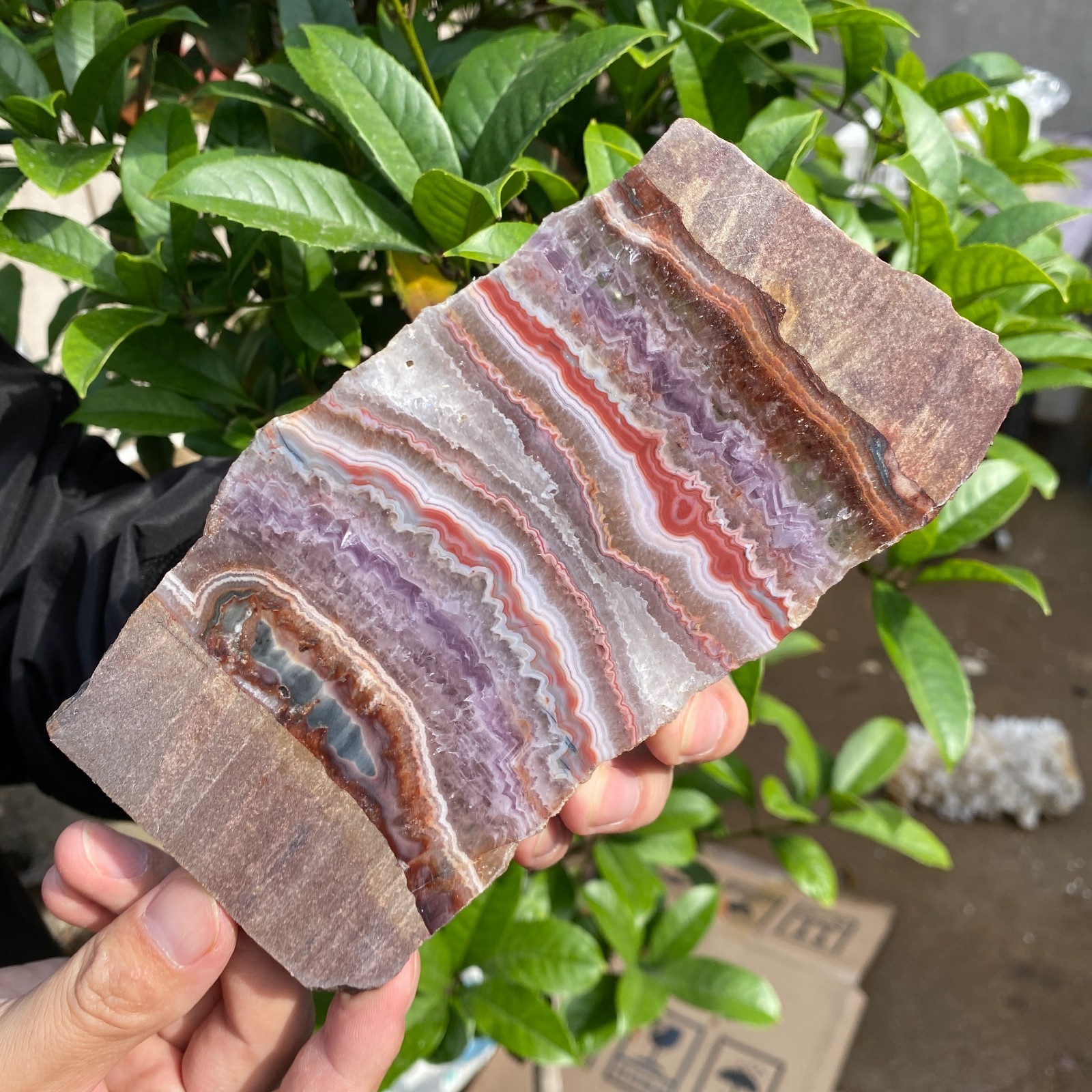 290g Natural Rare Amethyst Lace Agate Slab Quartz Crystal Reiki Healing