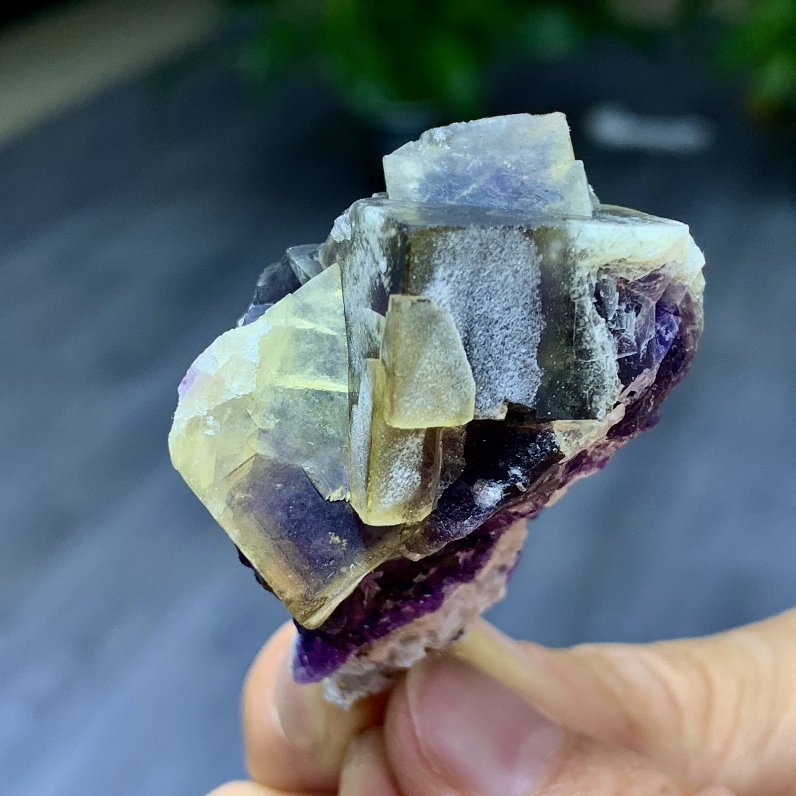 48G Rare transparent purple cubic fluorite mineral crystal sample/China