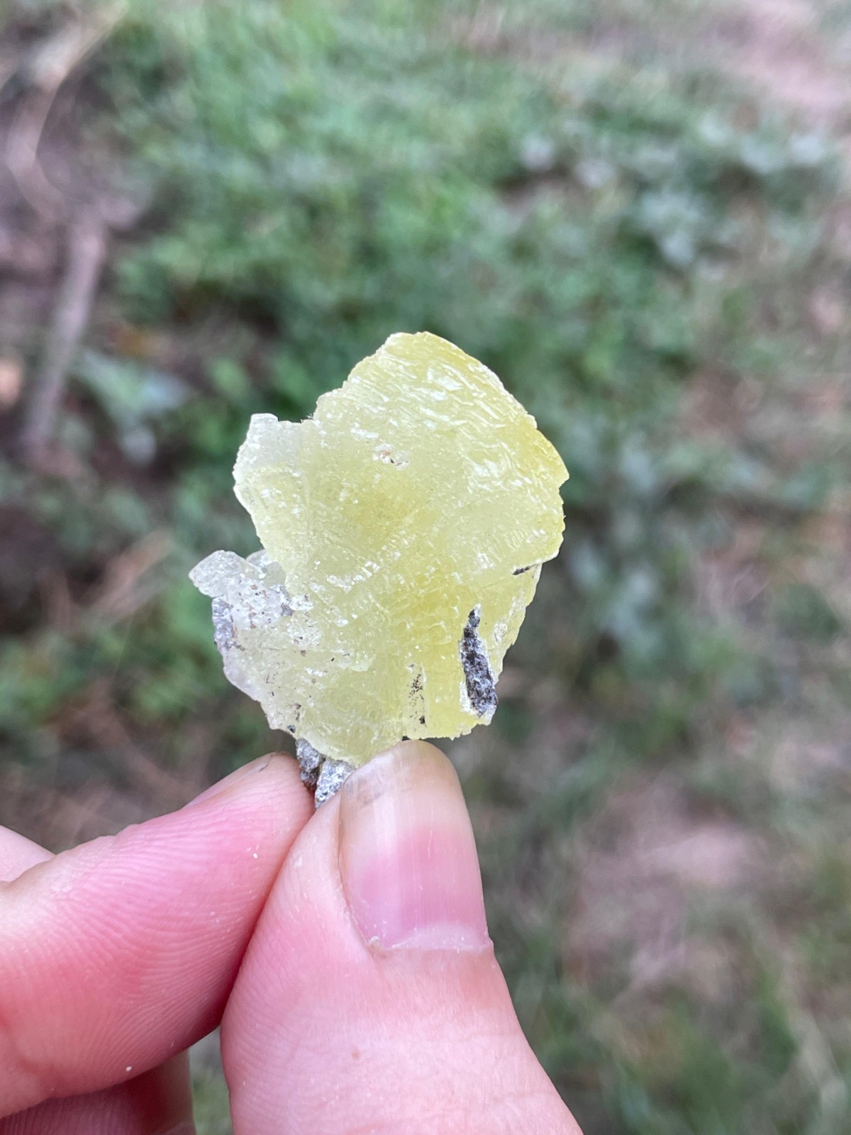 76grams Yellow Brucite Crystal (6pcs Lot) From Baluchistan Pakistan