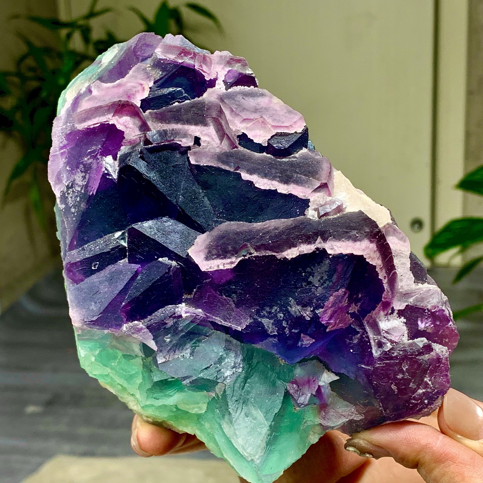3.49LB Rare transparent purple-green cubic fluorite mineral crystal sample/China