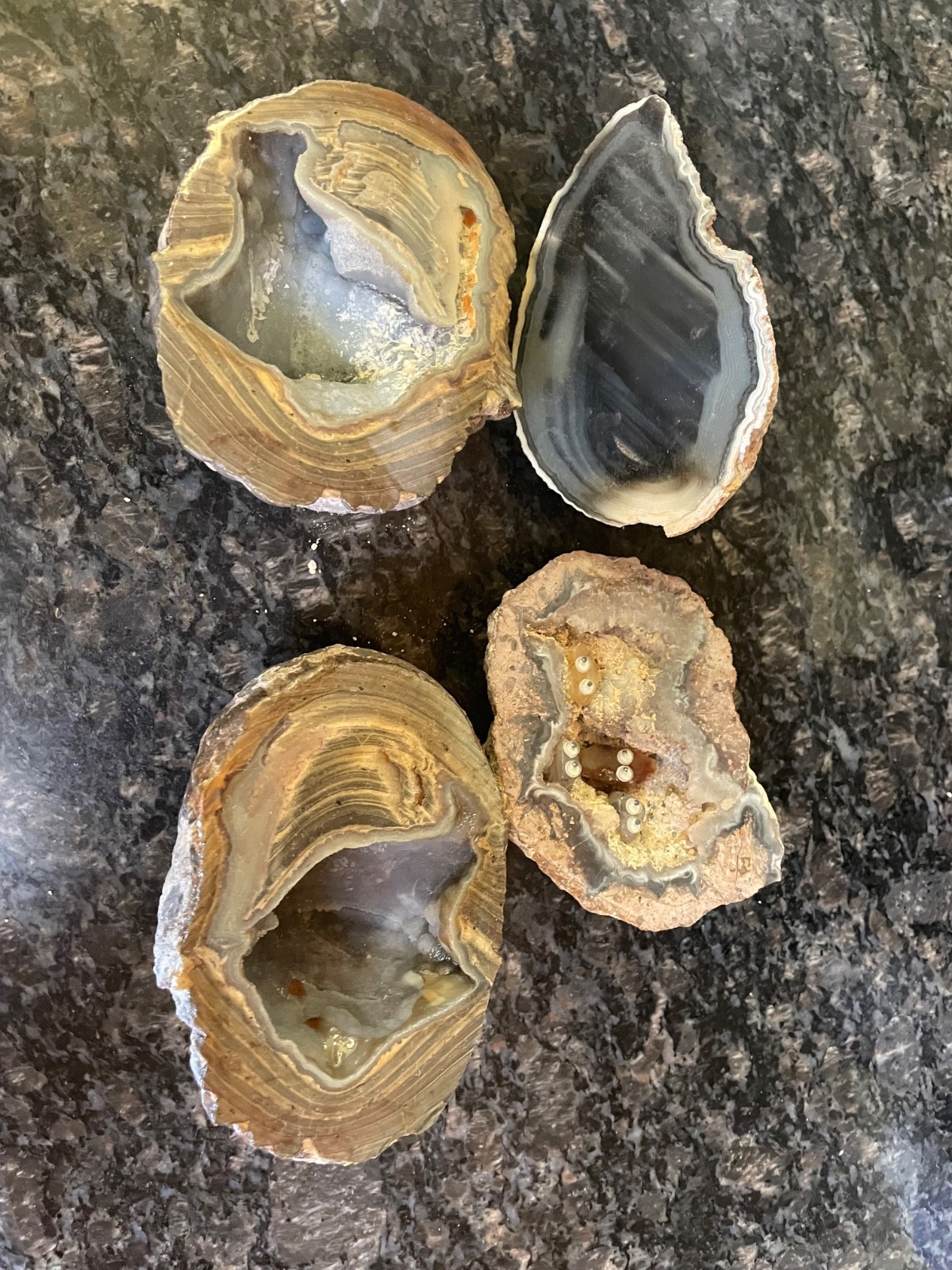 Set of 4 cut and polished geodes