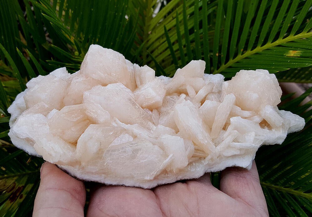 445g Big Spectacular 6 3/4 Inch World Class Stilbite Crystal Cluster – India