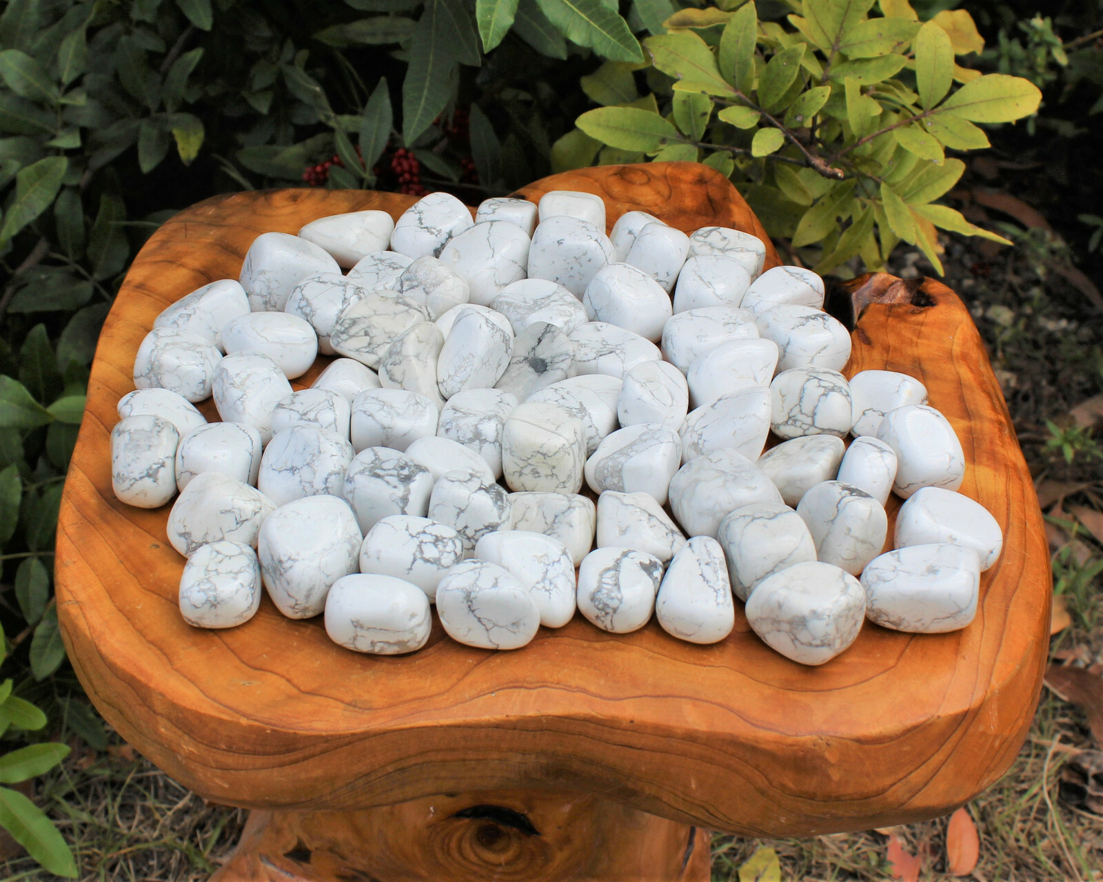1 Large White Howlite Tumbled Stone (Crystal Healing Reiki Gemstone)