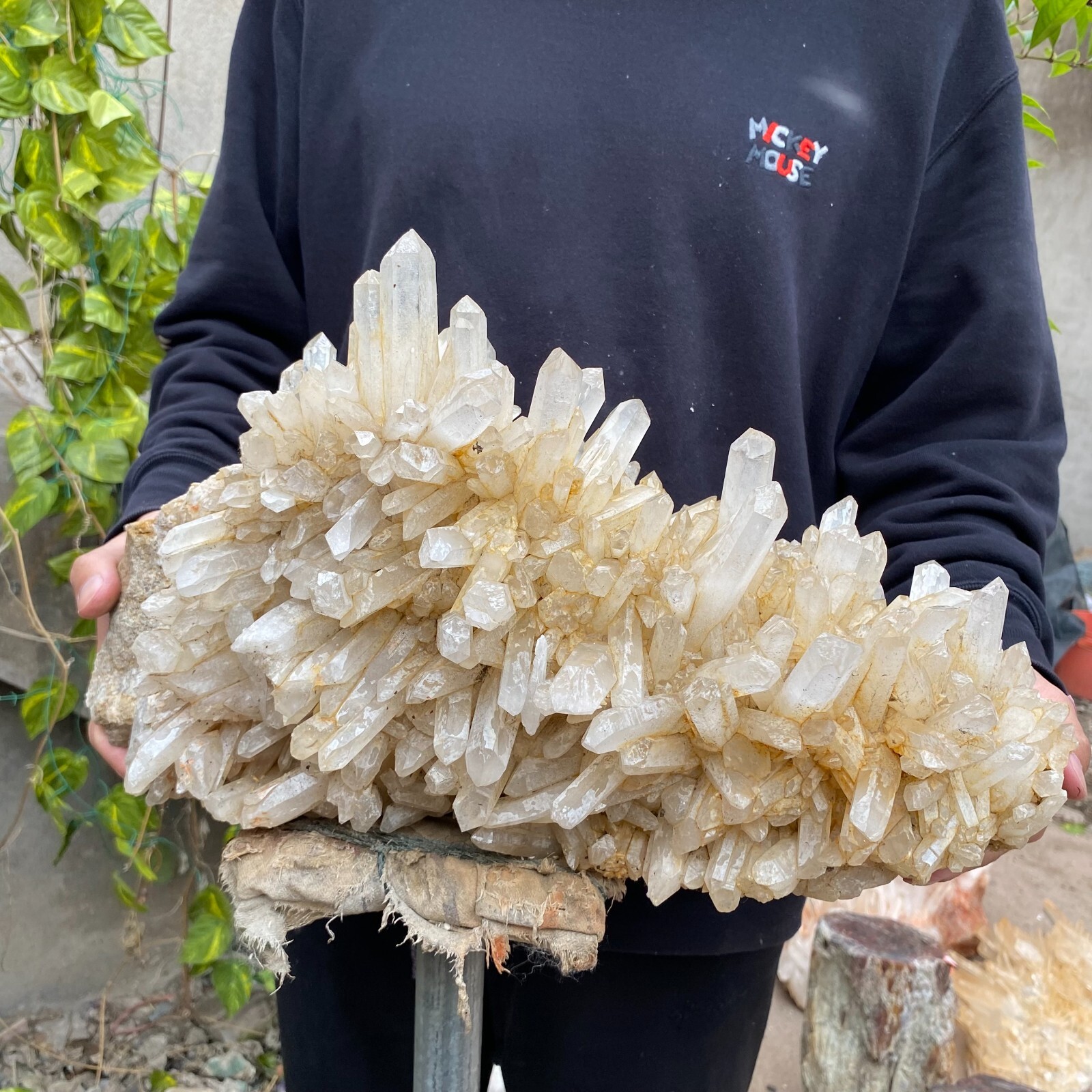 43.9lb Natural Clear White quart Crystal Cluster Raw Healing Specimen