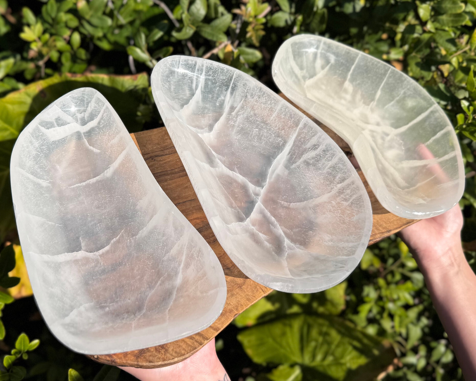 HUGE 10″ Selenite Free Form Charging Bowls (Selenite Crystal Bowl,Selenite Bowl)