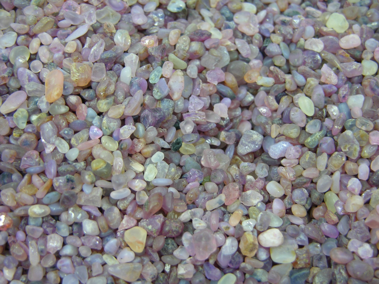 20.00Ct Vietnam 100% Natural Pure Raw Mixing Blue & Pink Sapphire Rough 4g 3-5mm