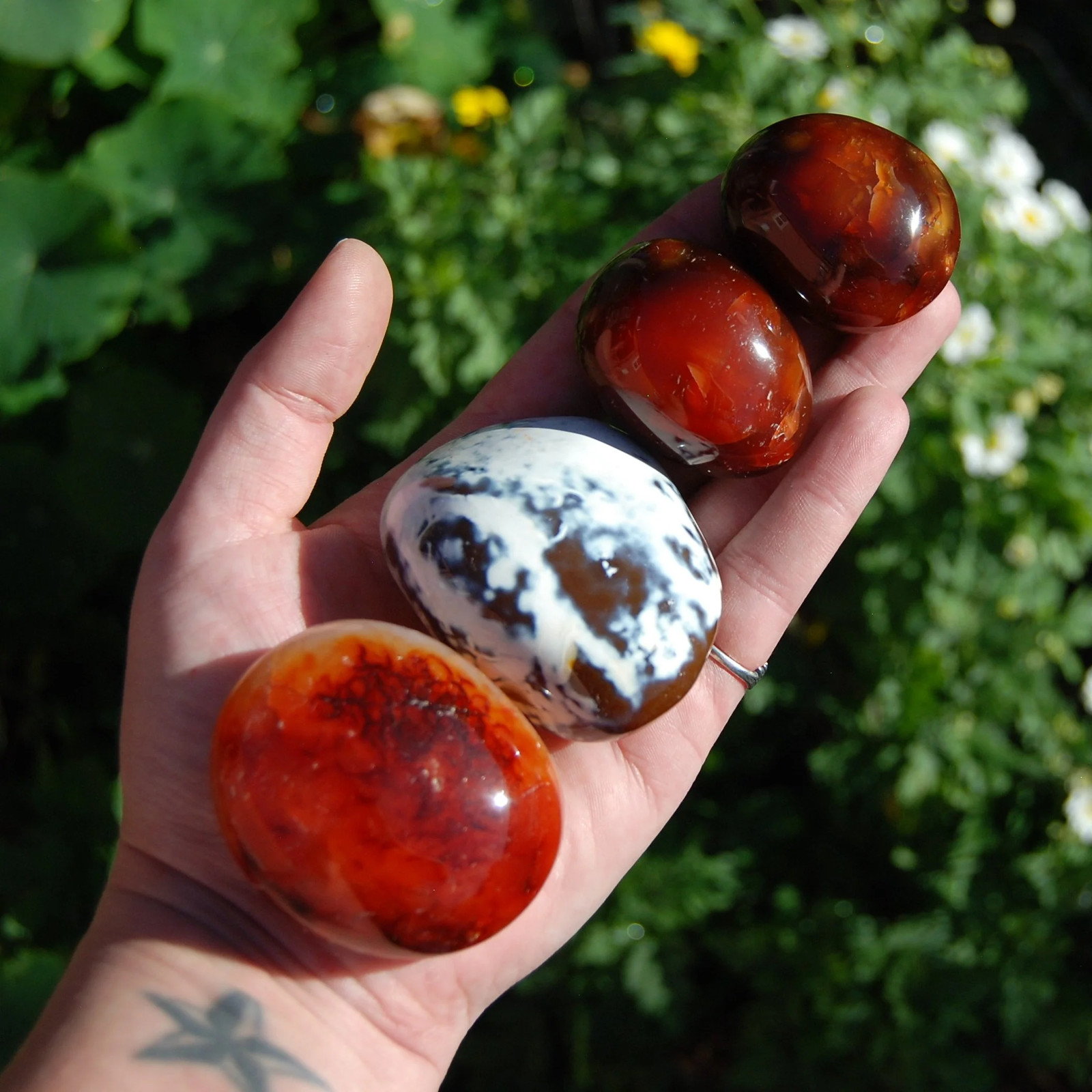 ONE Red Carnelian Agate Crystal Palm Stone, Madagascar